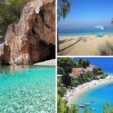 Sunny Nora * Omis