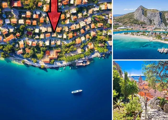 Sunny Nora 오미스